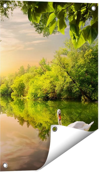 Gards Tuinposter Zwaan op het Water in het Bos - 40x60 cm - Tuindoek - Tuindecoratie - Wanddecoratie buiten - Tuinschilderij