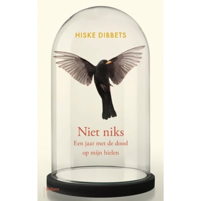 Niet Niks - Hiske Dibbets