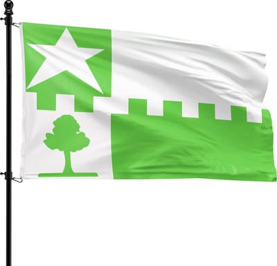 VlagDirect - Stede Broec vlag - Gemeente Stede Broec vlag - 90 x 150 cm.