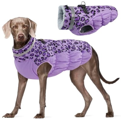 Warme, reflecterende winddichte hondenjas voor kleine en grote honden - winterjas met harnas - paars - XXL