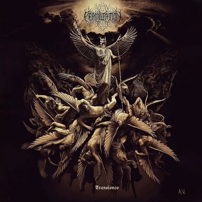 Permutation - Transience (CD)