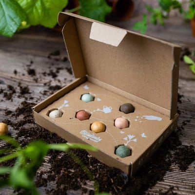 Blossombs Bloembommetjes Giftbox Small - 7 Zaadbommetjes - Geluk is een Tuintje Vol Bloemen