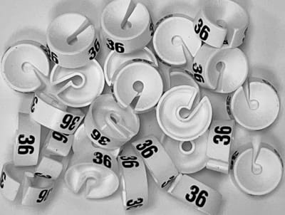 Bleijenberg Maatdopje maat 36 wit - Maataanduiding voor kledinghangers per 25 stuks - Maatringetje Ø 20 mm - Kledinghangers - Kleerhanger - Kapstok - Mark-Brics - wisersizer
