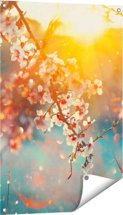 Gards Tuinposter Bloesemboom tijdens Zonsondergang - Bloem - 60x90 cm - Tuindoek - Tuindecoratie - Wanddecoratie buiten - Tuinschilderij