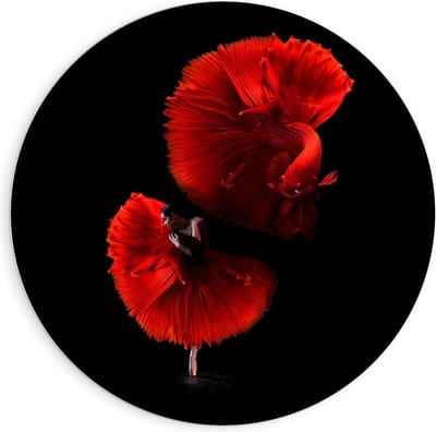 Forex Wandcirkel - Danseres met Rode Vis - 90x90cm Foto op Wandcirkel (met ophangsysteem)
