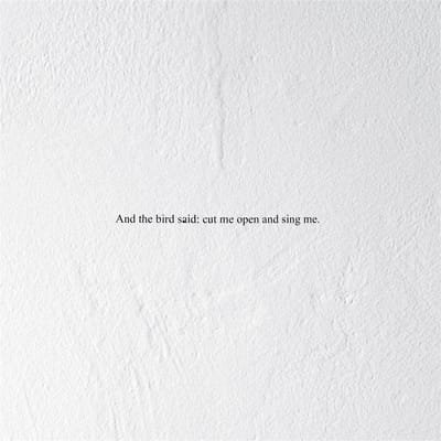 Prairie - And The Bird Said: Cut Me Open And Sing Me (CD)
