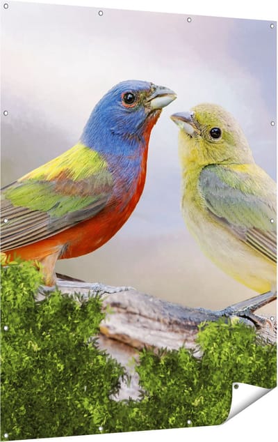 Gards Tuinposter Getekende Gorzen Vogels - Kleur - Abstract - 120x160 cm - Tuindoek - Tuindecoratie - Wanddecoratie buiten - Tuinschilderij