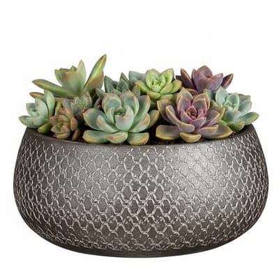 Mica decorations Bloempot / schaal Madeira - zilver - terracotta - 13 x 27 cm - schubbenpatroon