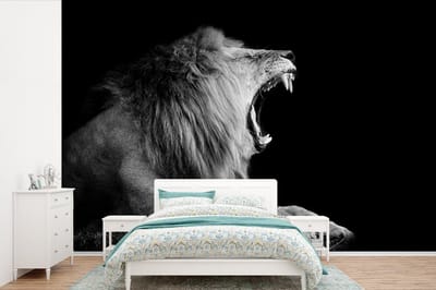 Behang - Fotobehang Leeuw - Wilde dieren - Gras - Zwart - Wit - Breedte 525 cm x hoogte 350 cm