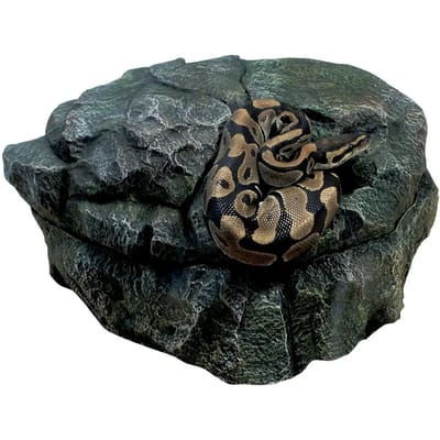 Reptielen schuilplaats Zoomed Shelter