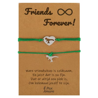 Vriendschapsarmbandjes voor 2 " Friends Forever ∞" - Verschillende Dino's - BFF Armbandjes met Persoonlijk Cadeau Kaartje - Zilverkleurig & Groen - Elastisch Verstelbaar - Pax Amare
