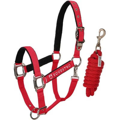 Halsband voor paarden met lengte Equestro Modello Shiny Fittings