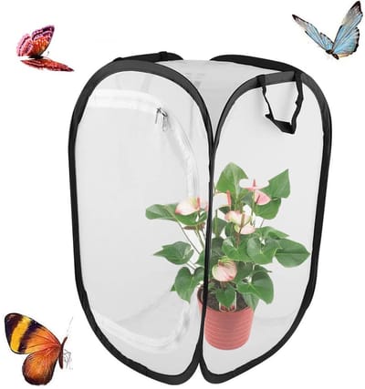 Butterfly Habitat, Insect Cage, Insects, Habitat Cage, Butterfly Cage, Mesh Cloth, Insect Plant Cage, for Butterflies, Insect Habitat, Seedlings (40 x 40 x 60 cm)