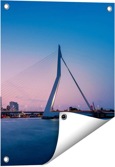 Gards Tuinposter Erasmusbrug in Rotterdam met Zonsondergang - 40x50 cm - Tuindoek - Tuindecoratie - Wanddecoratie buiten - Tuinschilderij