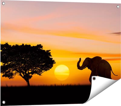 Gards Tuinposter Olifant Silhouet tijdens Zonsondergang - 80x60 cm - Tuindoek - Tuindecoratie - Wanddecoratie buiten - Tuinschilderij