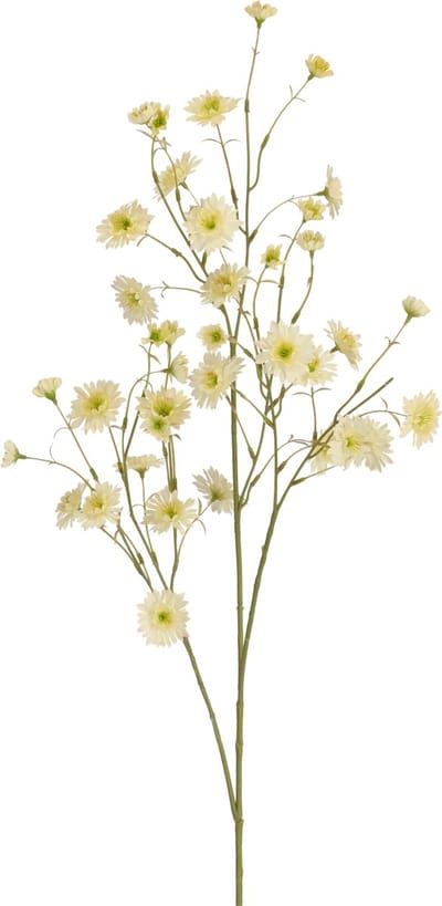 Kunst Korenbloemtak 100cm Creme