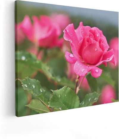 Artaza Canvas Schilderij Roos - 100x80 cm - Groot - Wanddecoratie Bloemen - Muurdecoratie Bloem - Schilderijen Op Canvas