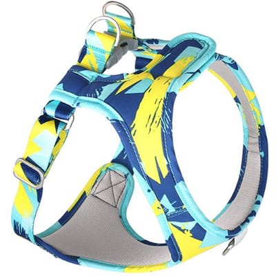 Hond Kat Tuigje Verstelbaar Vest Wandelriem Lijn Voor Puppy Honden Halsband Polyester Gaas Tuigje Voor Kleine Middelgrote Hond Kat Huisdier XS