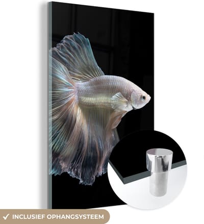 MuchoWow® Glasschilderij 120x180 cm - Schilderij acrylglas - Vis - Staart - Wit - Foto op glas - Schilderijen