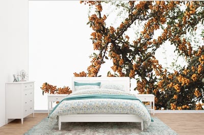 Behang - Fotobehang Bloemen - Takken - Natuur - Breedte 375 cm x hoogte 280 cm