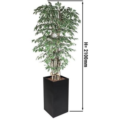 GGM Gastro Kunstpflanze "Ficus Starlight" - 210cm - mit Topf Groen / Wit