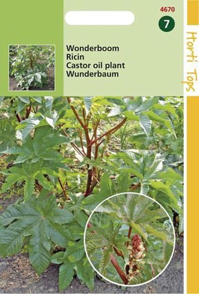 Hortitops Zaden - Ricinus Zanzibariensis Gemengd
