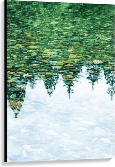 Canvas  - Weerspiegeling van Bomen in Water - 80x120cm Foto op Canvas Schilderij (Wanddecoratie op Canvas)