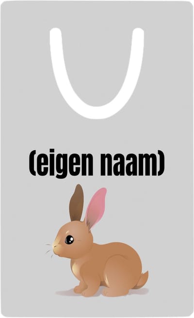 Hacebo® - konijn met eigen naam metalen boekenlegger - Konijn - konijnen liefhebbers - iemand die houdt van konijnen - verjaardag - cadeau - kado Bladwijzer boekenleggers - 7.6 cm x 5cm