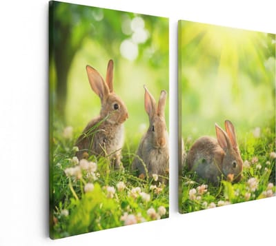 Artaza Canvas Schilderij Tweeluik Drie Konijnen Op Het Gras Bij Zonneschijn - 80x60 - Foto Op Canvas - Canvas Print