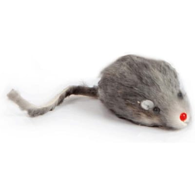 Speelgoed voor Huisdier Kat Echte Bont Muis Kort Haar Echte Haar Muis Met Geluid Speelgoed Geluid Voor Kitten Kat Speelgoed Huisdier Producten Decor