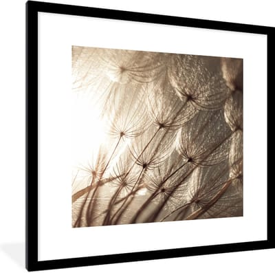 Fotolijst incl. Poster - Bloemen - Planten - Winter - Sepia - Sneeuw - 40x40 cm - Posterlijst