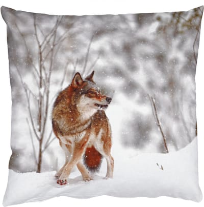 Sierkussens - Kussentjes Woonkamer - 50x50 cm - Wolf - Winter - Sneeuw - Natuur - Dieren