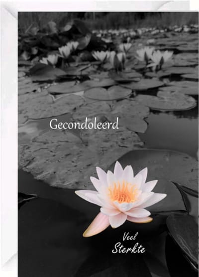 Premium Cadebo Luxe Condoleance kaart - Rouwkaart - Sterktekaart - Met Oprechte Deelneming - Gevouwen kaart met envelop - 17x12cm