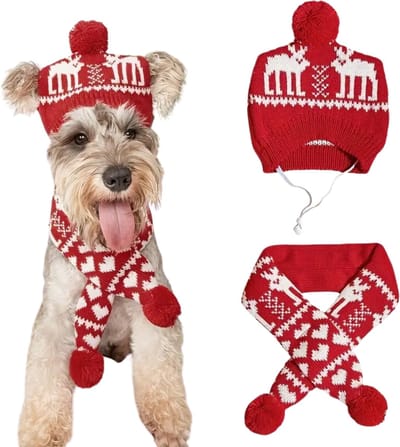 Winter Setje Hond - Kerst - 2 Delig - Sjaal en Muts - Rood Wit - Geschikt voor Honden - Winter Pakje - Hondenkleding - Maat S