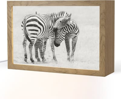 Tafellamp 30x20 cm - LED lamp - Zebra - Dieren - Natuur - Safari - Decoratieve tafellampen - Dimbaar - Tafellampje slaapkamer - Woonkamer binnen