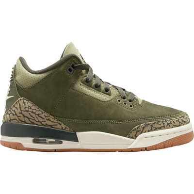 Jordan Air Jordan 3 Retro Family Affair Gs Kinderen Groen K202