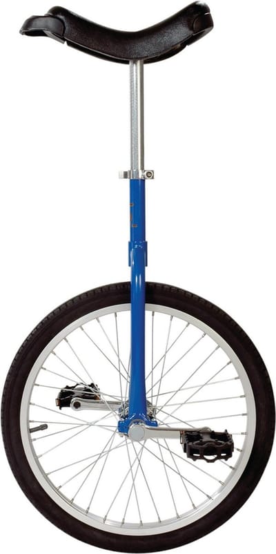 Only One 20 inch eenwieler
