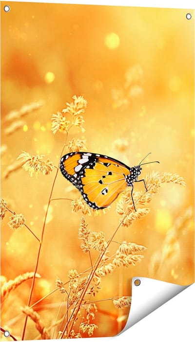 Gards Tuinposter Oranje Vlinder in het Oranje Veld - 60x90 cm - Tuindoek - Tuindecoratie - Wanddecoratie buiten - Tuinschilderij