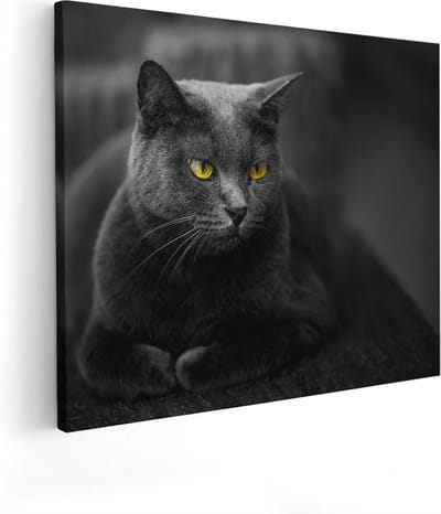Artaza Canvas Schilderij Kat - 50x40 cm - Wanddecoratie Dierenkop - Muurdecoratie Woonkamer - Kamer Accessoires