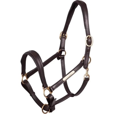 Leren halster voor paarden Premiere Equitation