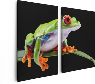 Artaza Canvas Schilderij Tweeluik Kikker met Rode Ogen op een Plant - 80x60 - Foto Op Canvas - Canvas Print