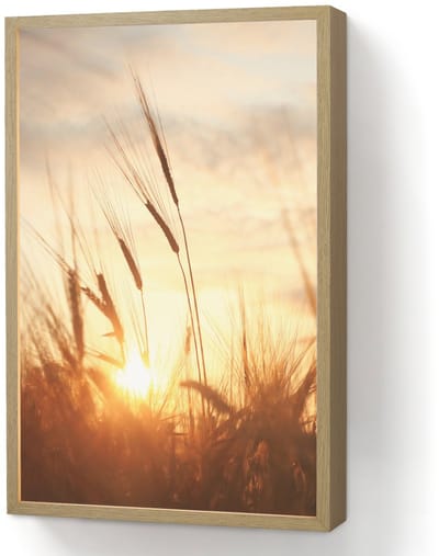 Wandlamp 40x60 cm - Oplaadbaar - Riet - Gras - Zonsondergang - Natuur - Horizon - Wandlampen binnen woonkamer - Slaapkamer lamp - Decoratieve nachtlamp - Vloerlamp draadloos