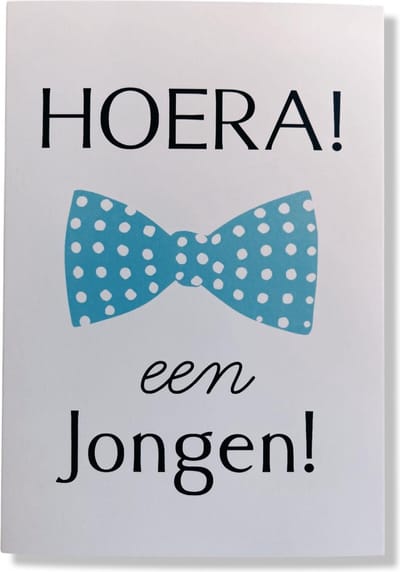 Een Zoon! - Luxe Geboortekaartje Jongen - 12x17cm - Gevouwen wenskaart met envelop