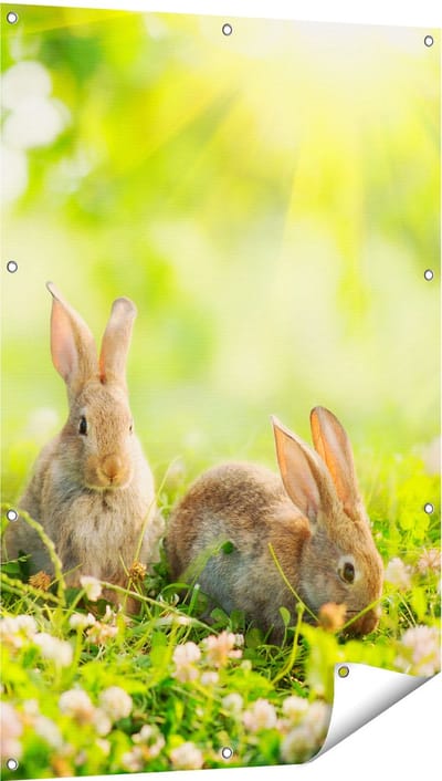 Gards Tuinposter Drie Konijnen op het Gras bij Zonneschijn - 80x120 cm - Tuindoek - Tuindecoratie - Wanddecoratie buiten - Tuinschilderij