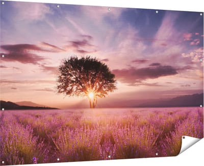 Gards Tuinposter Bloemenveld met Lavendel bij Zonsondergang - 180x120 cm - Tuindoek - Tuindecoratie - Wanddecoratie buiten - Tuinschilderij