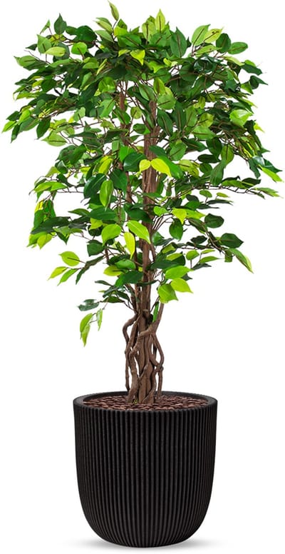 Kunstplant Ficus in Planter Ball groove zwart H140 cm