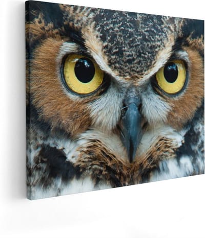 Artaza Canvas Schilderij Dierenkop Uil - 50x40 cm - Wanddecoratie Woonkamer - Muurdecoratie Vogel - Kamer Accessoires