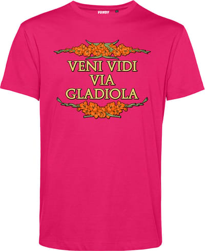 T-shirt Veni Vidi Via Gladiola | Vierdaagse shirt | Wandelvierdaagse Nijmegen | Roze woensdag | Roze | maat XS