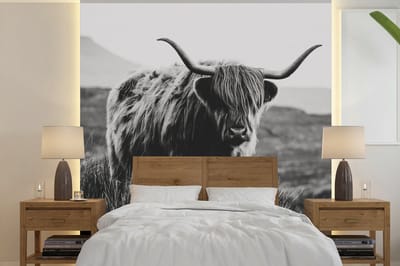 Behang - Fotobehang Schotse hooglander - Natuur - Koeien - Dieren - Zwart wit - Breedte 300 cm x hoogte 300 cm