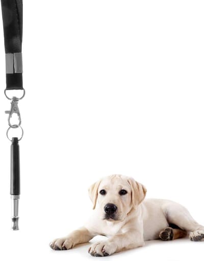 Ultrasone Hondenfluit met Leash, Trainingsset voor Honden, Obedience en Blaftraining, Ideaal voor Hondenopvoeding